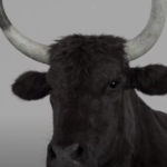 Screenshot 2025-01-03 105444