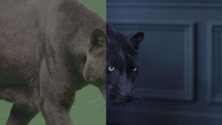 Burak Balkan VFX Breakdown Reel 2018